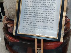 -上海市东方医院(总院)