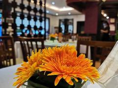 -阿诺泰·泰国餐厅(棕北店)