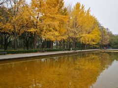 -玲珑塔公园