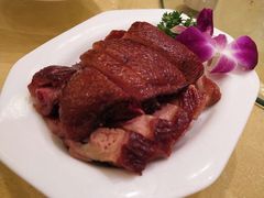 樟茶鸭-龙抄手(春熙路总店)