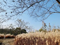 -梁鸿国家湿地公园