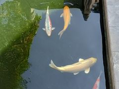-西安市广仁寺