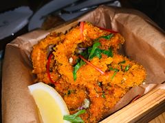 鱿鱼圈Calamari-EN SPACE恩空间