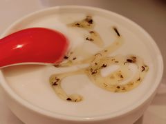 吉祥桂花酸奶-南锣肥猫·麻辣烤鱼·16年现烤现卖2.0(北京超极合生汇店)