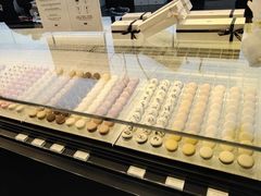 -BLACKSWAN黑天鹅(环球店)