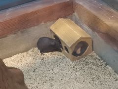 -顺德南宏海立方海洋公园