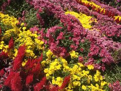 -大兴滨河森林公园