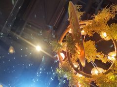 -胡桃里音乐酒馆(海雅缤纷城店)