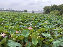 -云龙湖旅游景区
