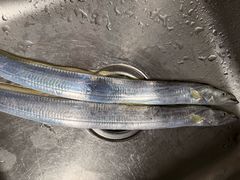 -恒兴发茶店(水巷口店)