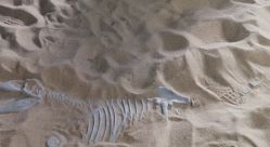 -恐龙探索乐园(磁器口店)