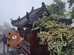-武当山风景区