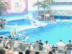 -海合安成都极地海洋公园