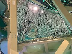 -珠海横琴国家地理探险家中心(创新方)