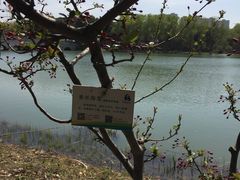 -昆山城市生态森林公园