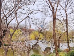 -大连植物园