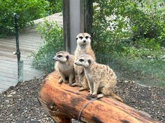 -水上乐园·欢乐世界