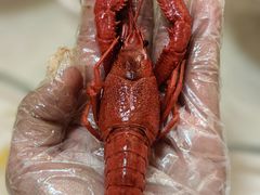 -小李子油焖大虾(南浦店)