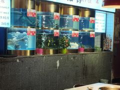 大堂-蜀滋香鲜鱼火锅(黄金路店)
