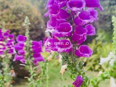 -晓港公园