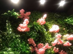 -藤野造型·专业烫染店