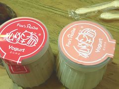 -狐狸家·酸奶酪专门店(平江路店)