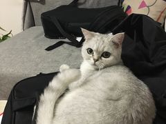 -宠颐生中康贝怡动物医院