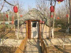 -草根堂农场