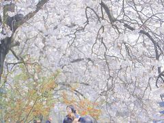 -红星桥(地铁站)