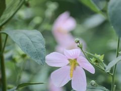 -长广溪湿地公园