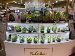 -CAKE BOSS 蛋糕老板(北京世纪金源购物中心)