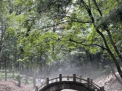 -洛阳白云山景区