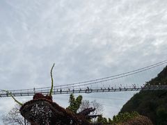 -木兰云雾山