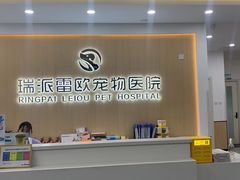 -瑞派雷欧宠物医院·24h夜诊·心脏骨科牙科·全科重症转诊中心(无影山店)