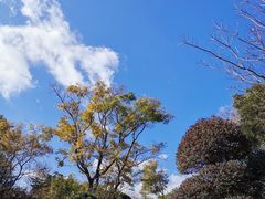 -七彩云南古滇温泉山庄