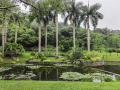 -云溪植物园
