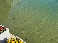 -翠湖公园