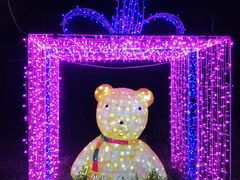 -北京鹿世界主题园