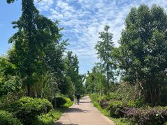 -白鹭湾湿地公园