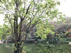 -云溪植物园