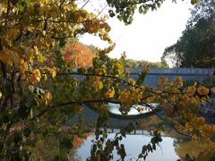 -大兴滨河森林公园