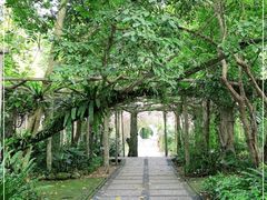 -广西壮族自治区药用植物园