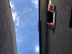 -Boxing Cat Brewery拳击猫精酿啤酒馆(思南公馆店)