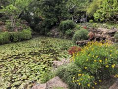 -上海醉白池公园