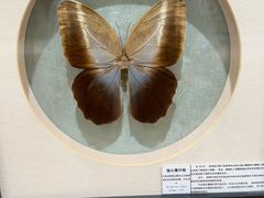 -深圳龙华星河COCO City(民治店)