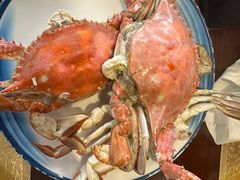 -金狮国际酒店自助餐(金狮店)