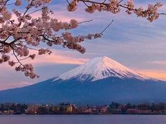 -樱花国际日语(徐家汇中心)