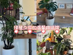 -Dinoo 片场咖啡(酒仙桥店)