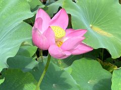 -济南植物园