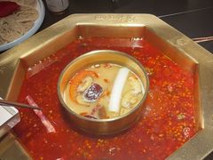 -蜀九香火锅(彩虹店)